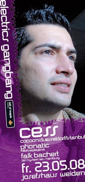 Z-Flyer.jpg