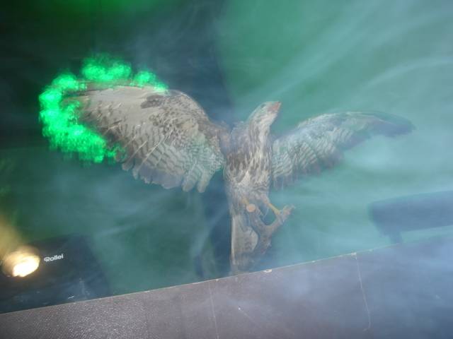 DSC02086.JPG